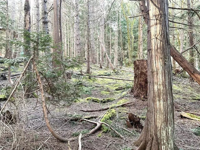 4 of 13 - Lot 72 Coho Blvd, Mudge Island, BC