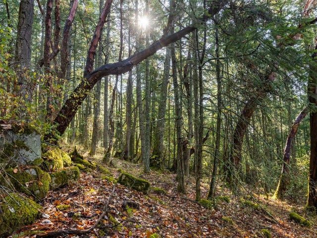 4 of 46 - Lot B Rae-leigh Pl, Central Saanich, BC