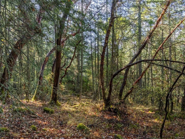 5 of 46 - Lot B Rae-leigh Pl, Central Saanich, BC