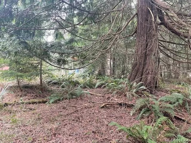 2 of 10 - 636 Balsam St, Gabriola Island, BC