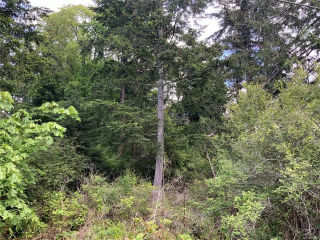4 of 9 - Lot 82 Gallagher Way, Gabriola Island, BC