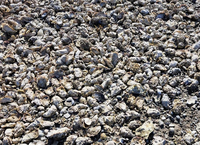 4 of 24 - 106456 Hanna Creek, Nootka Island, BC