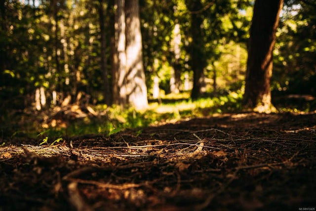 1 of 10 - Lt 14 Sitka Grove, Gabriola Island, BC