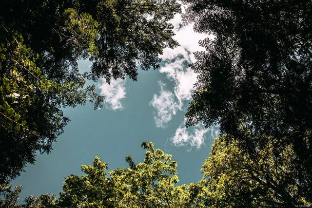 3 of 10 - Lt 14 Sitka Grove, Gabriola Island, BC