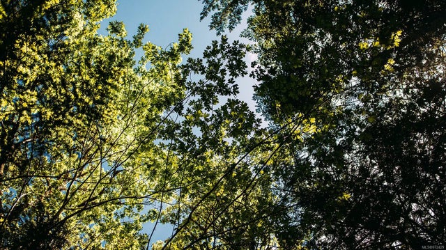 4 of 10 - Lt 14 Sitka Grove, Gabriola Island, BC