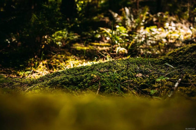 5 of 10 - Lt 14 Sitka Grove, Gabriola Island, BC