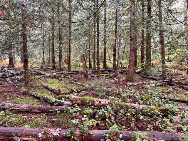 5 of 23 - 1571 Squirrel Cove Rd, Cortes Island, BC