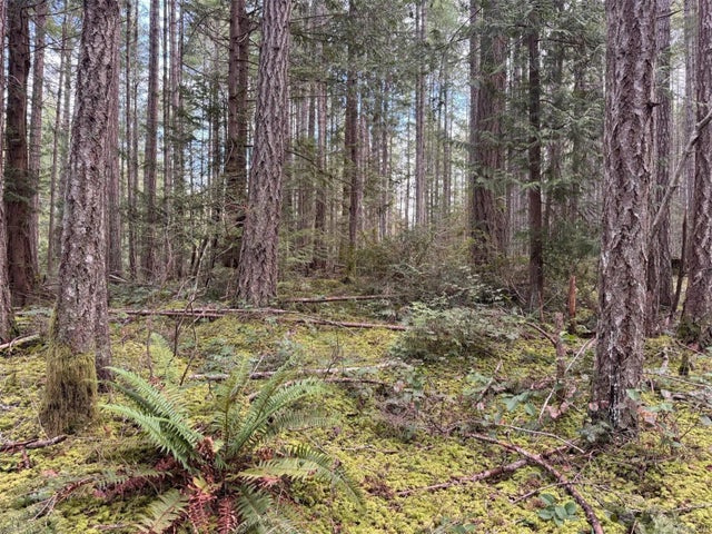 4 of 12 - Lt 2 Tansy Dr, Gabriola Island, BC