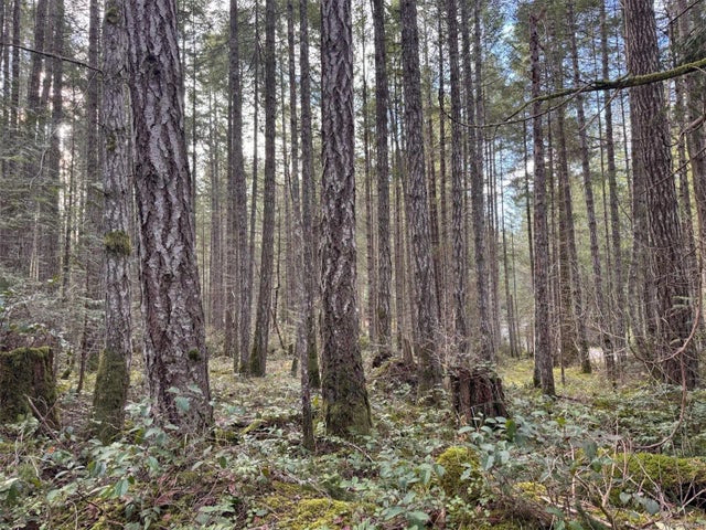 5 of 12 - Lt 2 Tansy Dr, Gabriola Island, BC