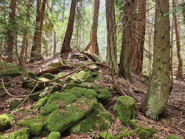 3 of 17 - 274 Sockeye Dr, Mudge Island, BC