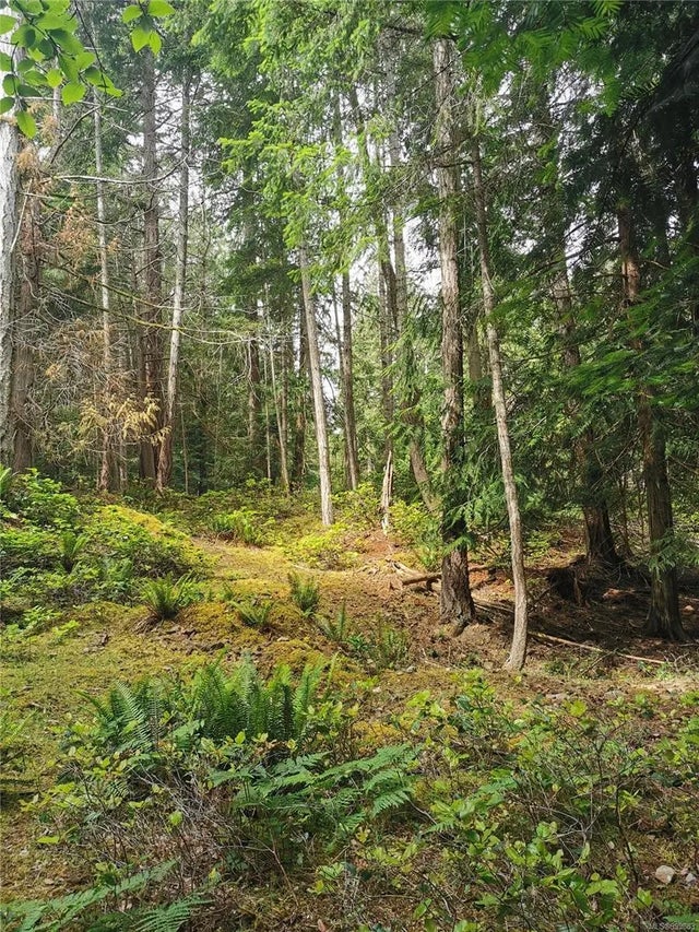 3 of 33 - 570 Aya Reach Rd, Mayne Island, BC