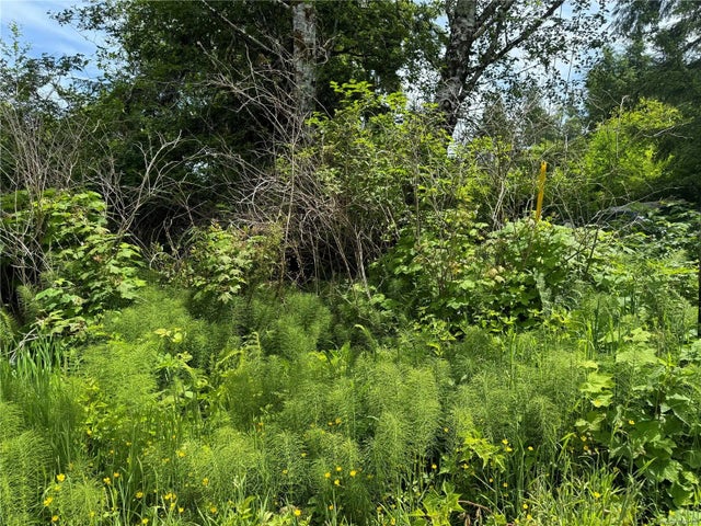 2 of 7 - Lot 19 Wickhams Lane, Bamfield, BC