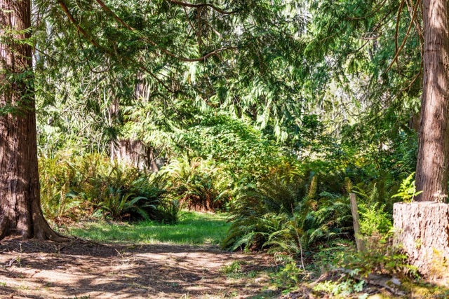 4 of 12 - 3250 Gunpowder Trail, Hornby Island, BC