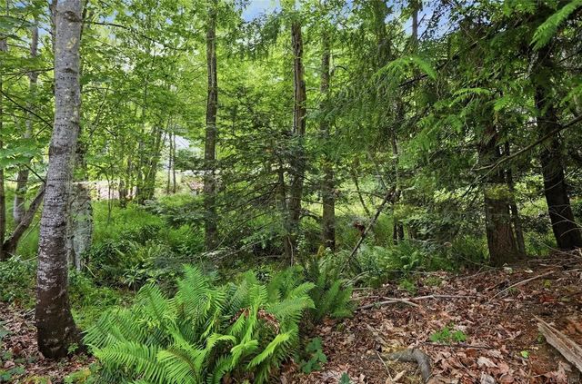 3 of 16 - Lot 47 Dolphin Dr, Nanoose Bay, BC