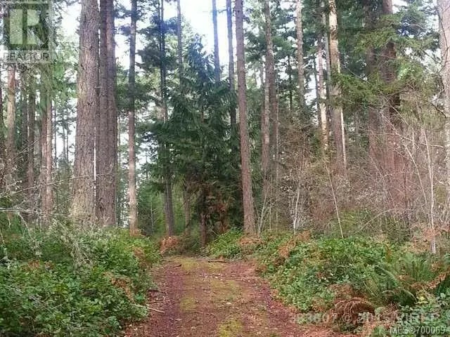 2 of 2 - Lt B Allsbrook Rd, Errington, BC