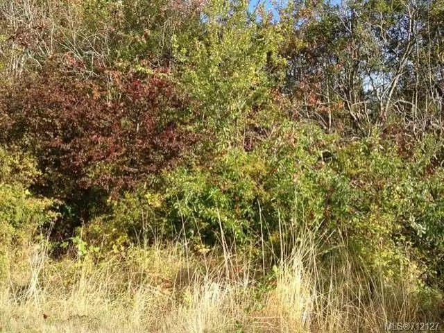 1 of 3 - Lt E Joan Ave, Crofton, BC