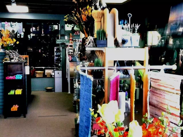 3 of 8 - 9756a Willow St, Chemainus, BC