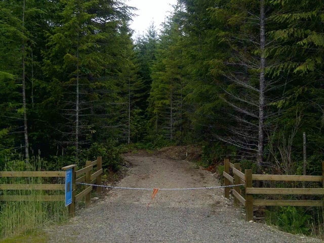 1 of 4 - Lt 3 Pratt Rd, Coombs, BC