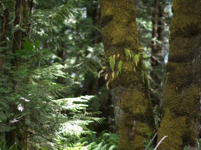 2 of 4 - Lt 3 Pratt Rd, Coombs, BC