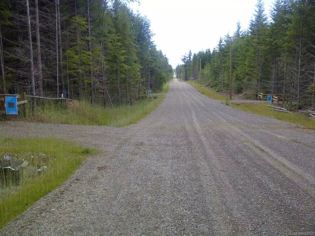 3 of 4 - Lt 3 Pratt Rd, Coombs, BC