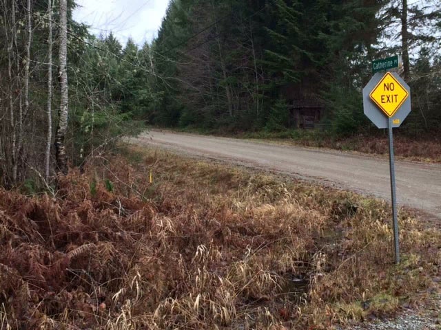 2 of 3 - Lt 6 Catherine Pl, Errington, BC