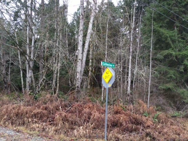 3 of 3 - Lt 6 Catherine Pl, Errington, BC
