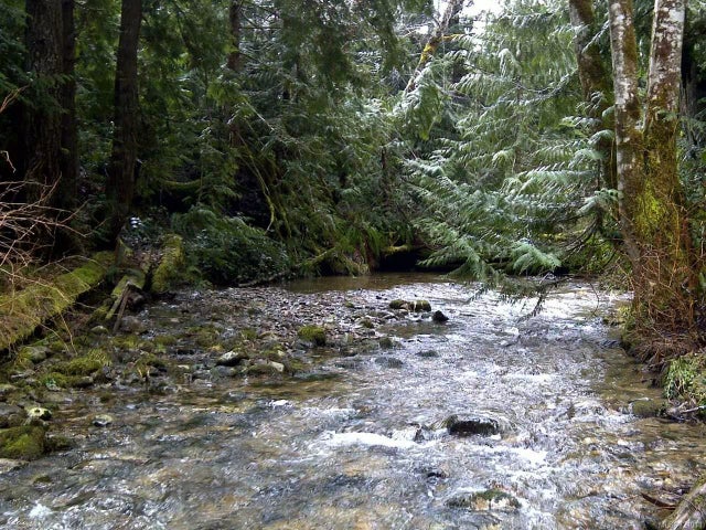 1 of 4 - Lt 3 - Ph1 Pratt Rd, Coombs, BC