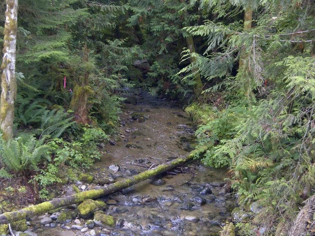 3 of 4 - Lt 3 - Ph1 Pratt Rd, Coombs, BC