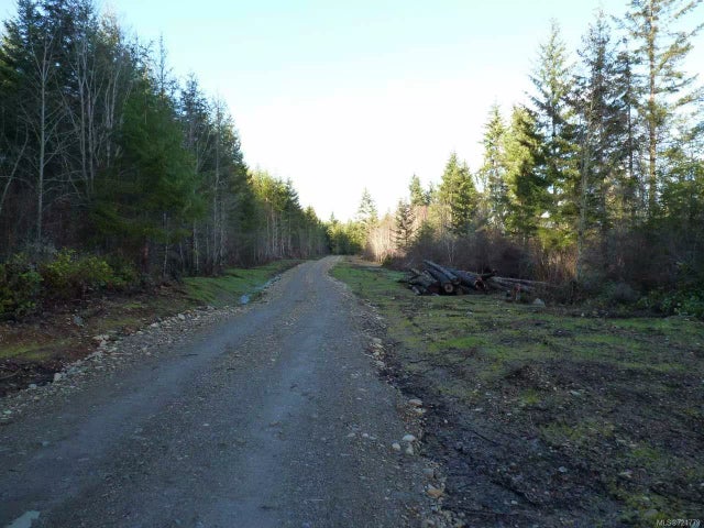 4 of 11 - Lt 159 Middlegate Rd, Errington, BC