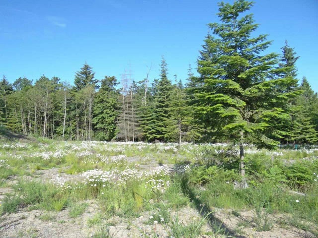 2 of 2 - Lt 8 Lanes Rd, Cowichan Bay, BC