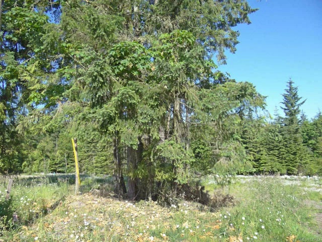 2 of 2 - Lt 9 Lanes Rd, Cowichan Bay, BC