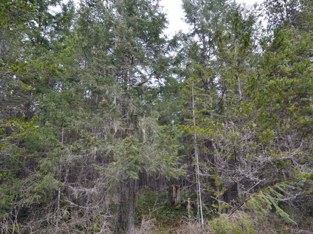 1 of 6 - Lt B Dobson Rd, Errington, BC