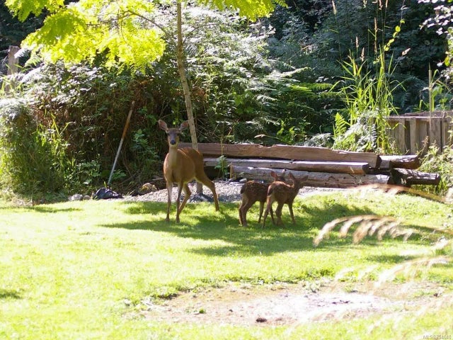 2 of 23 - 1530 Braddock Rd, Errington, BC