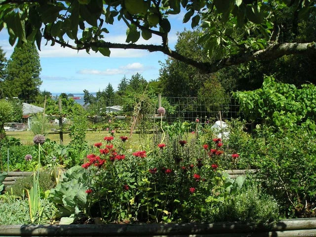 4 of 39 - 7985 Berridge St, Crofton, BC