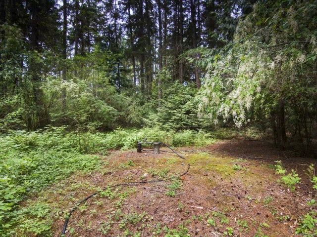 3 of 11 - Lot 1 Lillydale Rd, Errington, BC