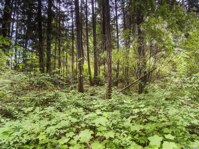 4 of 11 - Lot 1 Lillydale Rd, Errington, BC