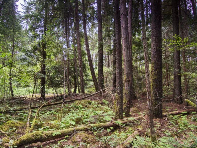 5 of 11 - Lot 1 Lillydale Rd, Errington, BC