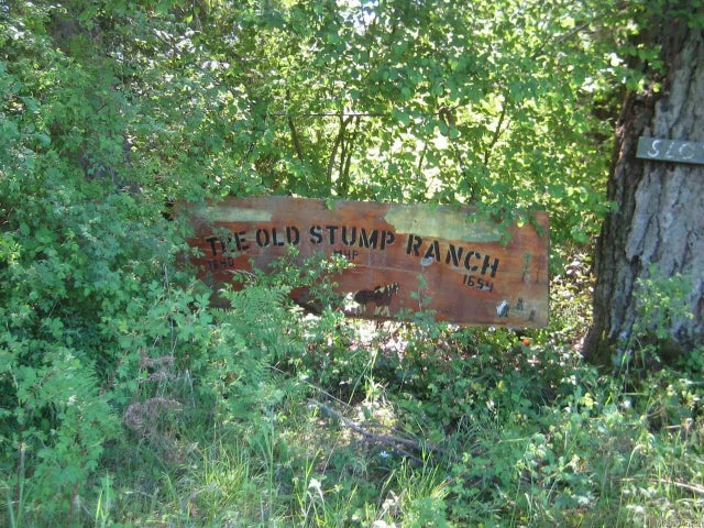 3 of 6 - 1654 Alberni Hwy, Errington, BC