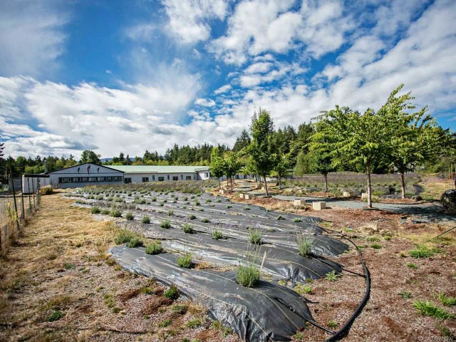 5 of 35 - 2116 Alberni Hwy, Coombs, BC