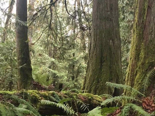 3 of 10 - Lt 13 Palmer Rd, Coombs, BC