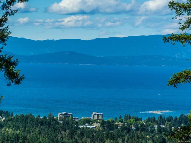 1 of 53 - 911 Little Mountain Rd, Errington, BC