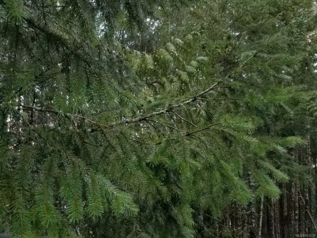 4 of 5 - 1285 Englishman River Rd, Errington, BC