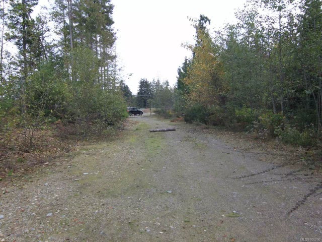 4 of 11 - Lt 1 Hilliers Rd, Errington, BC