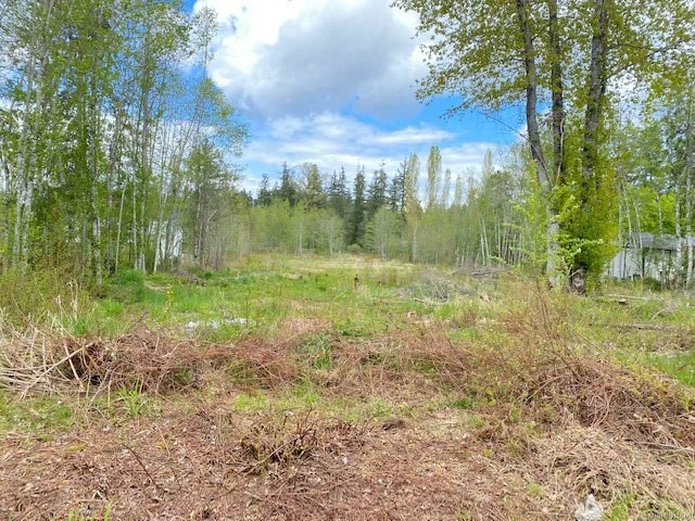 4 of 5 - Lt 8 Harris Cres, Errington, BC