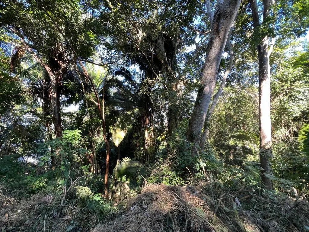 Manzana 5 2a Seccion, Lomas Del Pacifico Lote 37, Puerto Vallarta