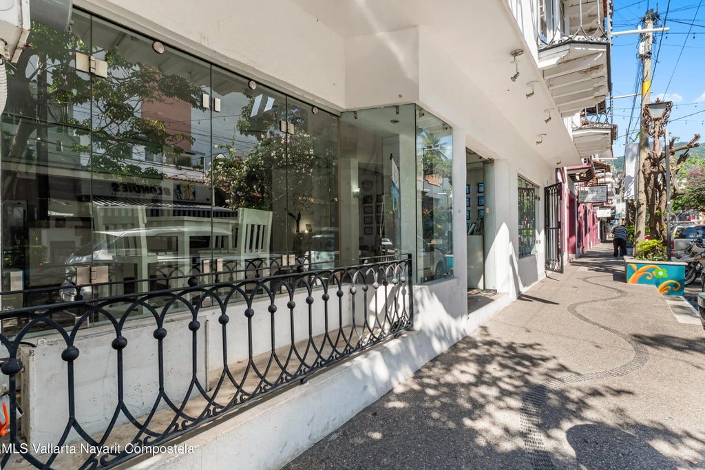 261 Basilio Badillo Perla Blanca, Puerto Vallarta