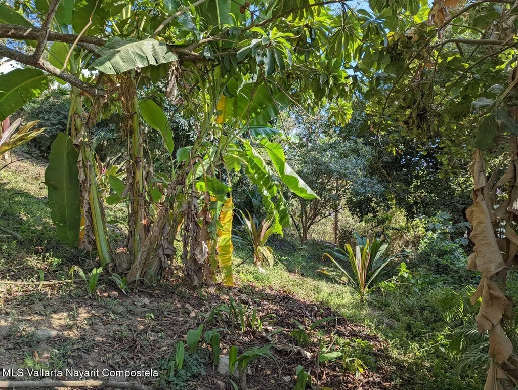 43 Gabriel Rodriguez Lote Libertad, Riviera Nayarit