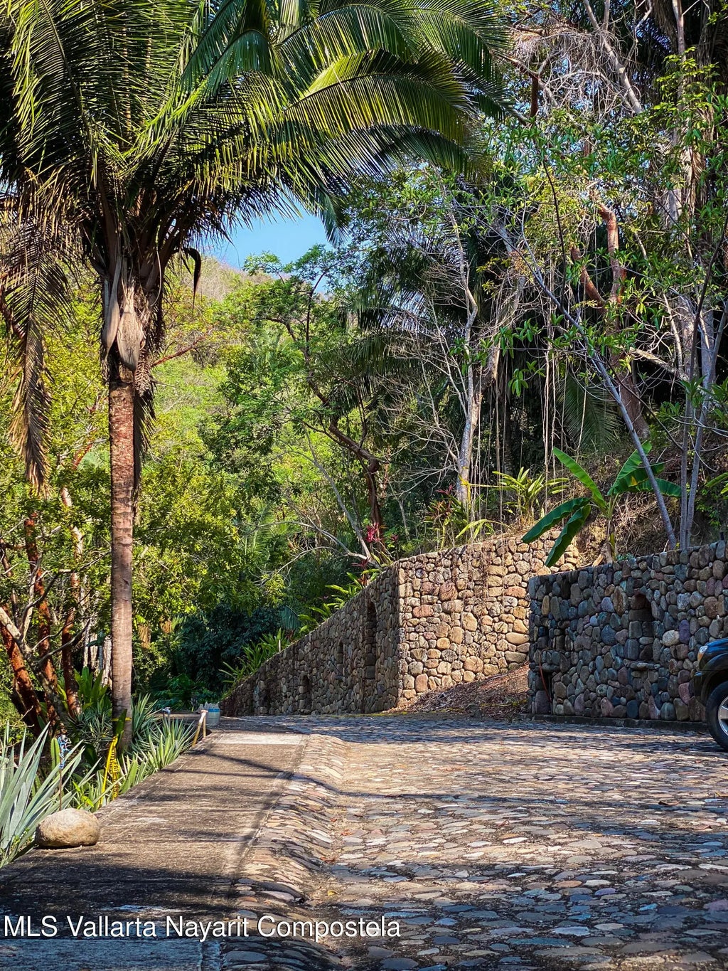 101 Las Clavellinas Ecoterreno, Riviera Nayarit