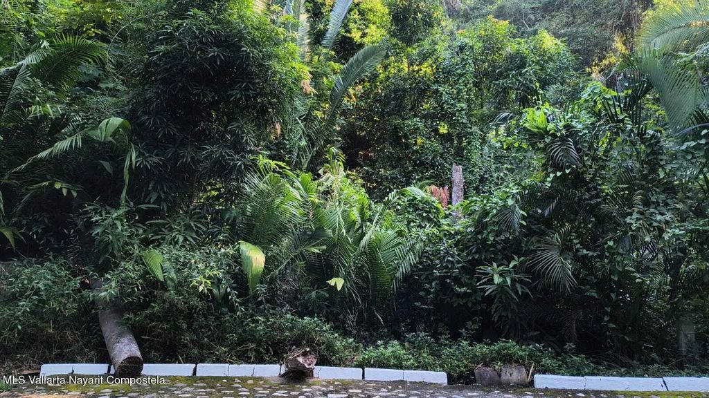 29 Carretera A Barra De Navidad Lote 29 San Xoaquin, Puerto Vallarta