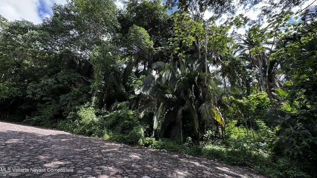 Sn Paseo De Los Pinos Verdes Las Veredas Conchas Chinas, Puerto Vallarta